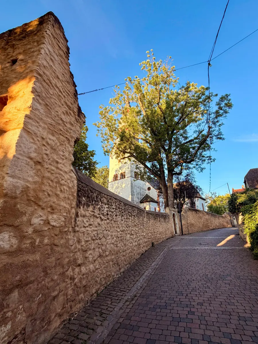 Ruhige gepflasterte Altstadtgasse in Nierstein entlang der historischen Kirchmauer mit Blick auf die Kirche.
