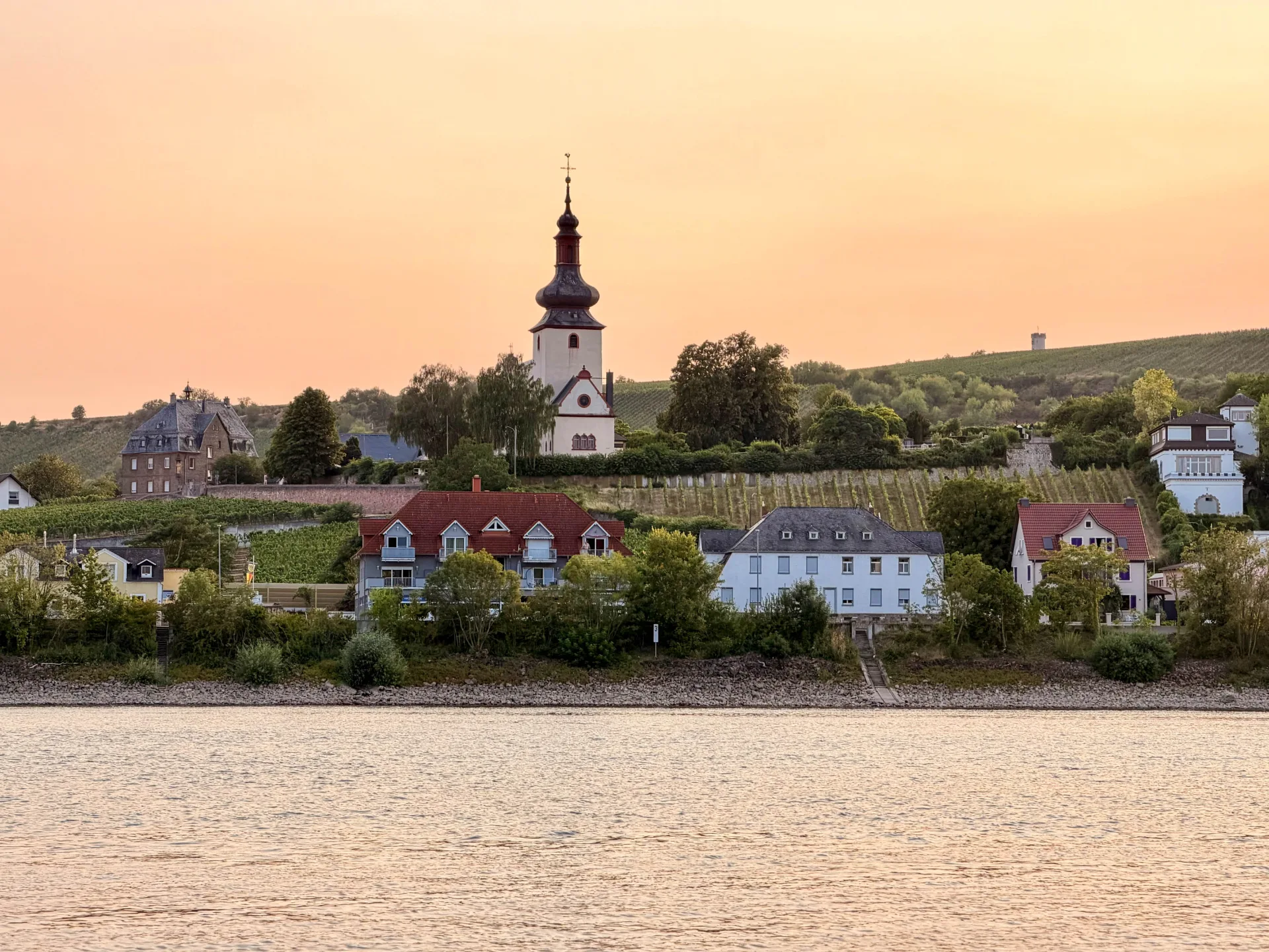 Blick über den Rhein auf die Kirche und die Weinberge von Nierstein im warmen Abendlicht.